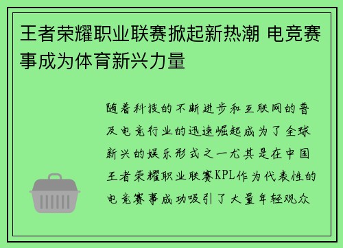 王者荣耀职业联赛掀起新热潮 电竞赛事成为体育新兴力量